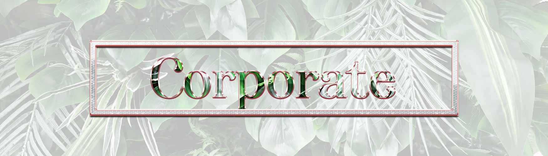 corporate page header for Atlanta Flower Wall Rentals